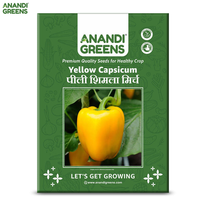 Capsicum Yellow (पीली शिमला मिर्च) F1 Hybrid Seeds