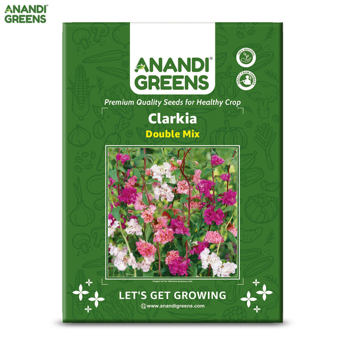 Clarkia-(Double Mix) 