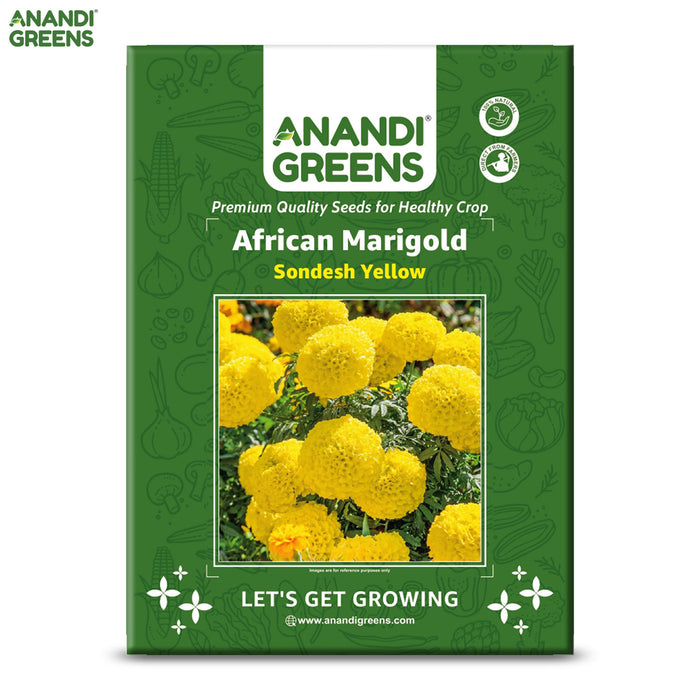 African-Marigold-(Sondesh Yellow) 