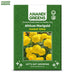 African-Marigold-(Sondesh Yellow) 