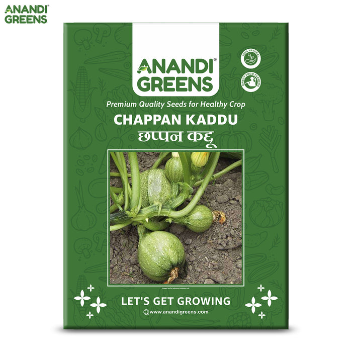 Premium Chappan Kaddu (छप्पन कद्दू) Seeds