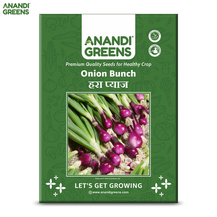 Onion (प्याज के बीज) Bunching Seeds