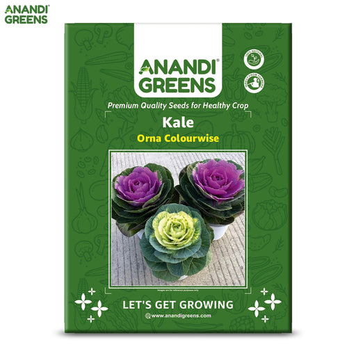 Kale-(Orna Colourwise)