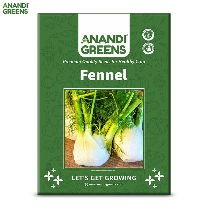 Fennel Herb Seeds (सौंफ)