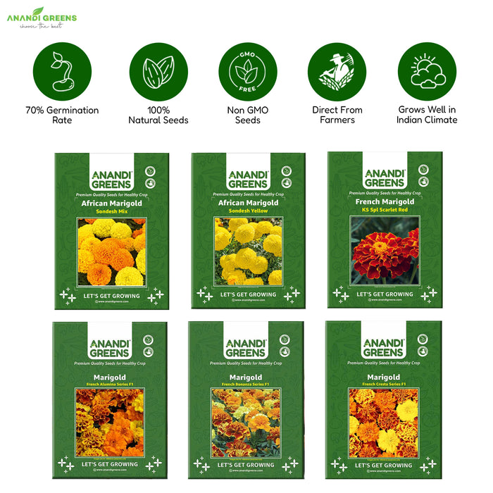 6-in-1 Marigold Seeds Combo Pack