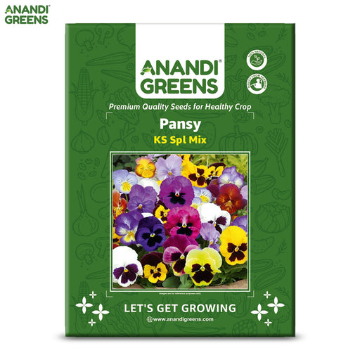 Pansy-(KS Spl Mix) 