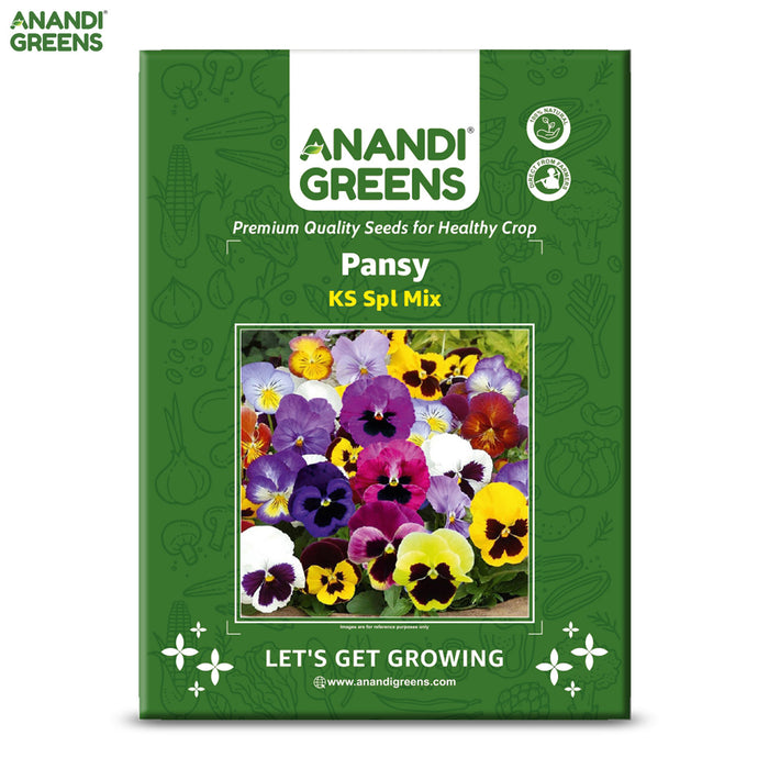 Pansy-(KS Spl Mix) 