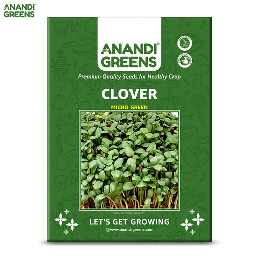 Clover-microgreen-seeds