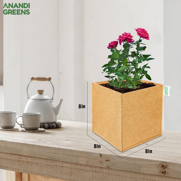 Geo Fabric Rectangular Plant Grow Bag 400 GSM 8x8x8 Inch