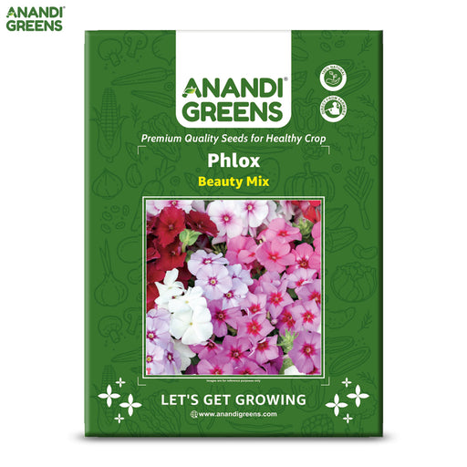 Phlox-(Beauty Mix)