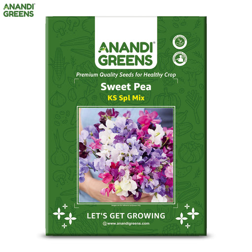 Sweet-Pea-(KS Spl Mix) – Premium-Open-Pollinated-Seeds