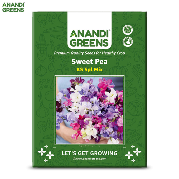 Sweet-Pea-(KS Spl Mix) – Premium-Open-Pollinated-Seeds
