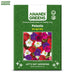 Petunia-(KS Spl Mix) – Premium-Open-Pollinated-Seeds