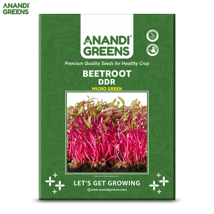 DDR-Beetroot-Microgreen-Seeds