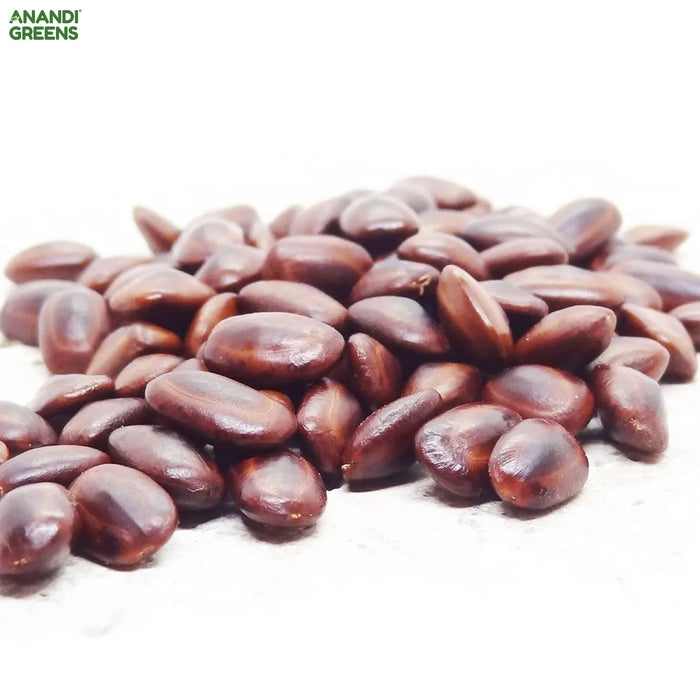 Albizia-Saman-Seeds