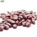 Albizia-Saman-Seeds