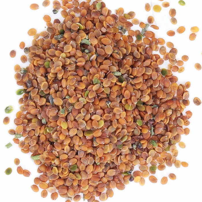 Alyssum-Clear-Crystal-Series-F1