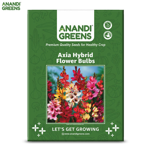 Axia-Hybrid-Flower-Bulbs-Pouch