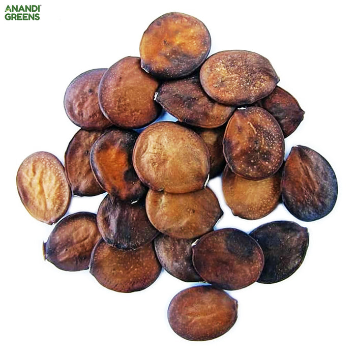Bauhinia Purpurea (Orchid Tree Seeds)