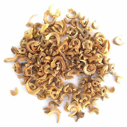 Calendula – Touch-of-Red-Mix-F1