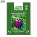 Capsicum-Purple-Bell-Seeds

