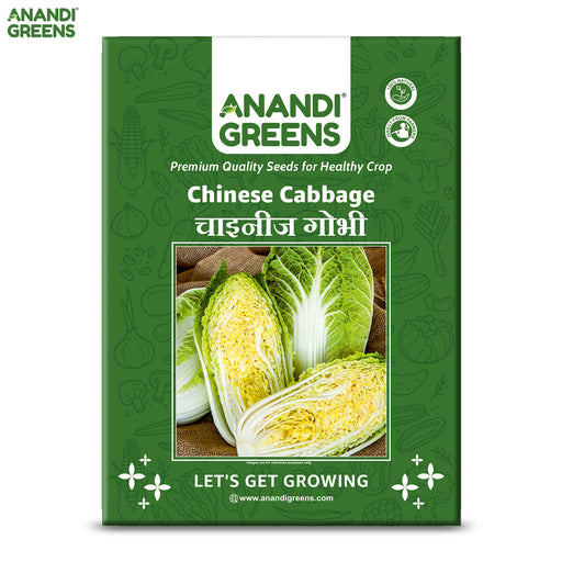 Chinese-Cabbage-Seeds 