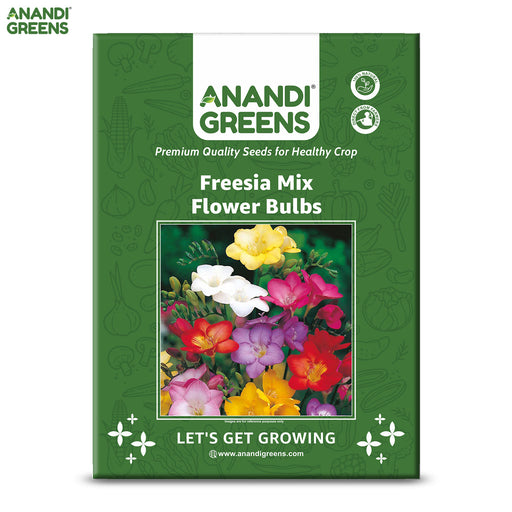 Freesia-Mix-Flower-Bulbs-Pouch