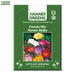 Freesia-Mix-Flower-Bulbs-Pouch