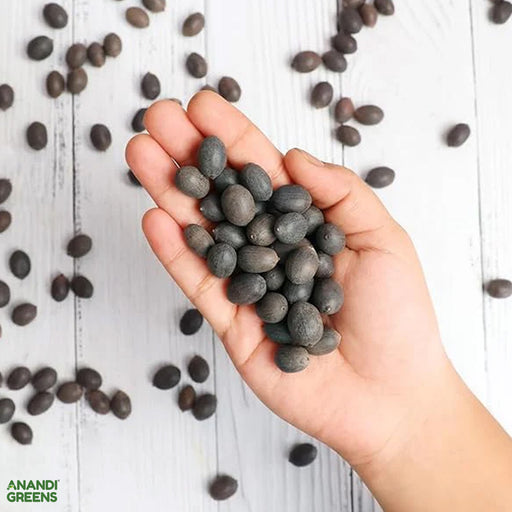 Lotus-Flower-Seeds