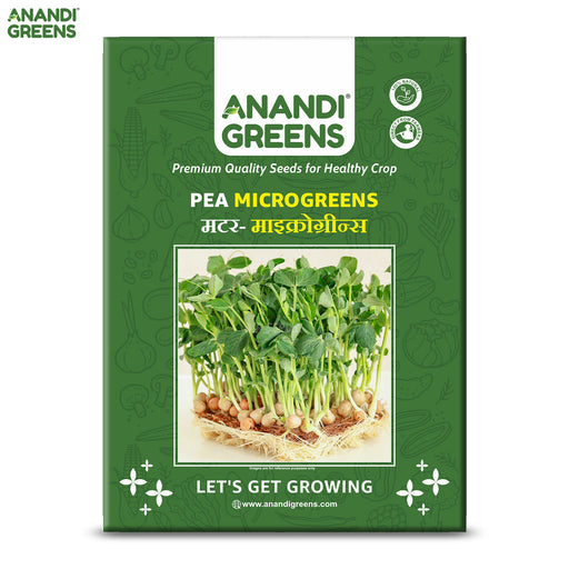 Pea-Microgreens-Seeds-(मटर माइक्रोग्रीन बीज)