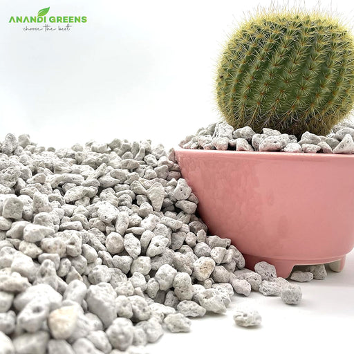 Pumice-Stone-for-Gardening