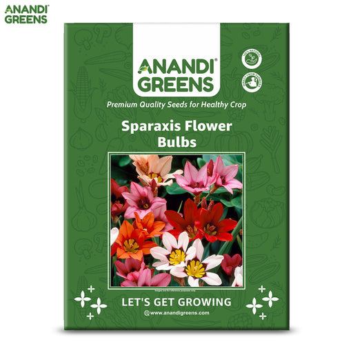 Sparaxis-Flower-Bulbs-Seeds-Pouch