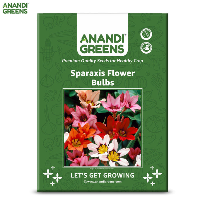 Sparaxis-Flower-Bulbs-Seeds-Pouch
