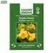 Anandi-Greens-Tecoma-Flower-seed-packet-with-yellow-flowers-on-a-green-background