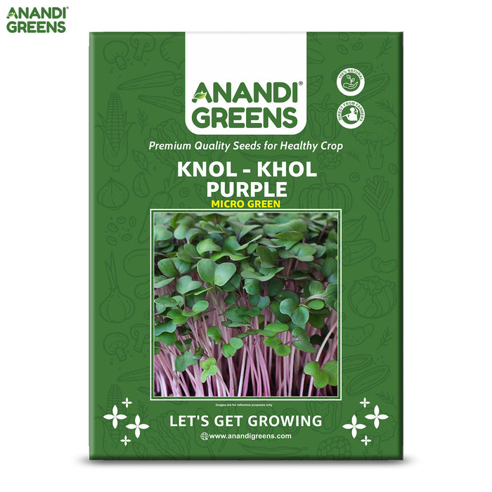 KNOL - KHOL PURPLE (MICROGREEN)