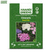 Cineraria-(Dwarf Mix) – Premium-Open-Pollinated-Seeds