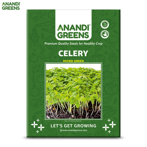 Celery-Microgreen