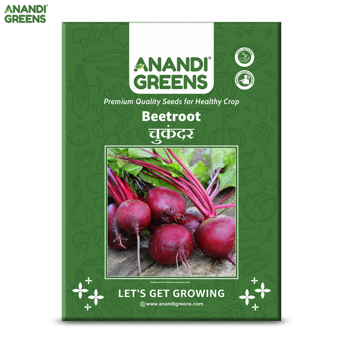 Beetroot (चुकंदर) Seeds