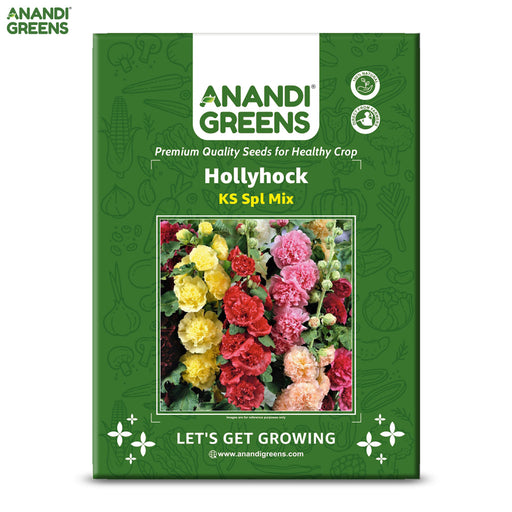 Hollyhock-(KS Spl Mix)