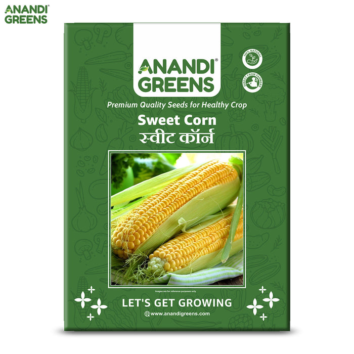 Sweet Corn (स्वीट कॉर्न) Seeds