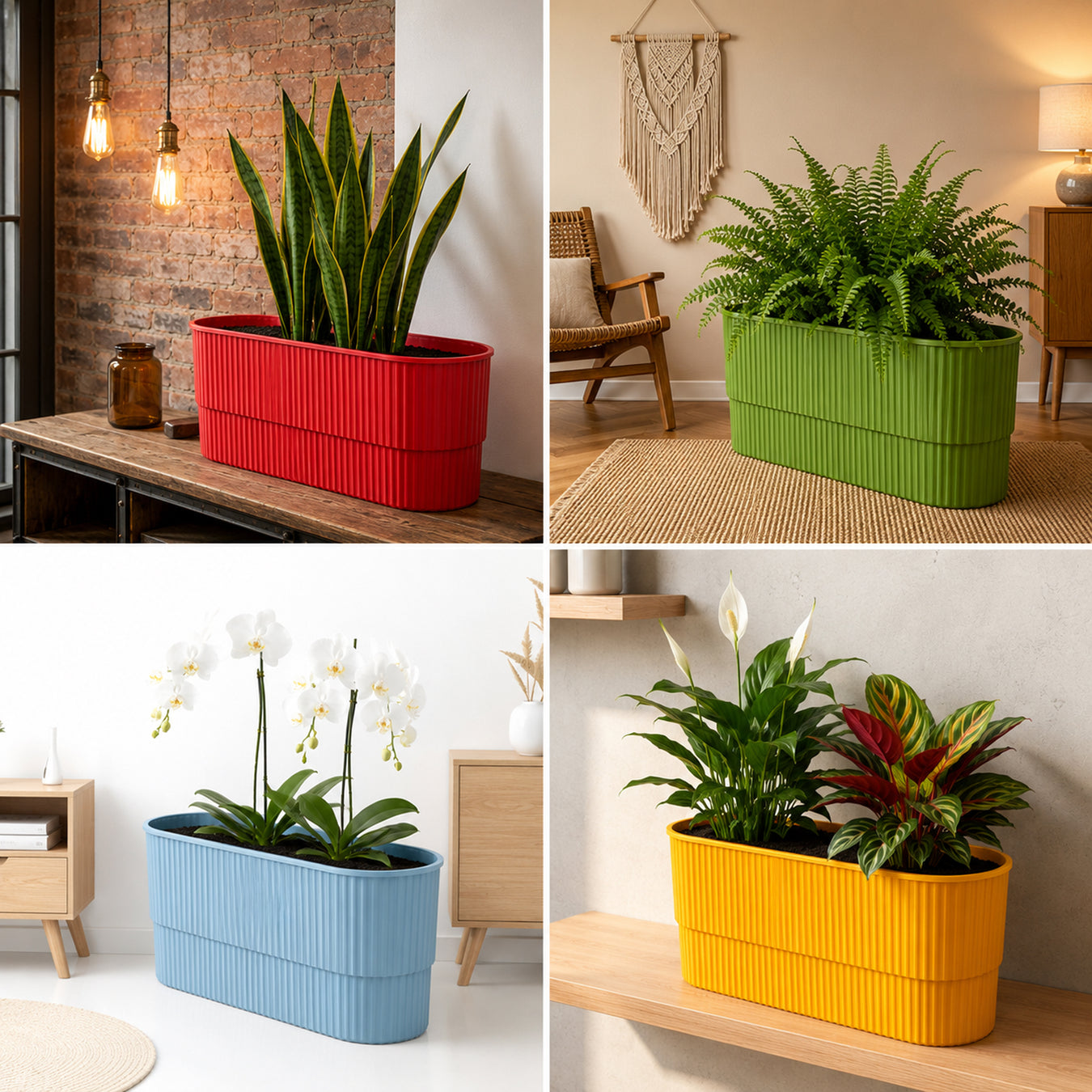 Decorative Pots