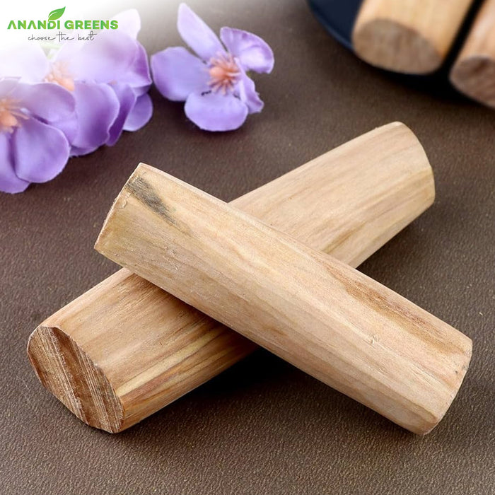 White-Sandalwood-Seeds-(सफेद चंदन के बीज) - Safed-Chandan-Seeds-For-Plantation