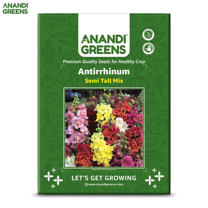 Antirrhinum-(Semi Tall Mix)