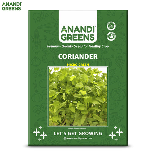 Coriander-Microgreen-Seeds
