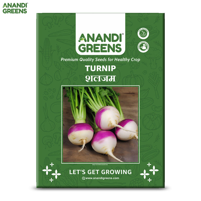 Turnip (शलजम) Seeds