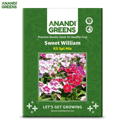 Sweet-William-(KS Spl Mix)