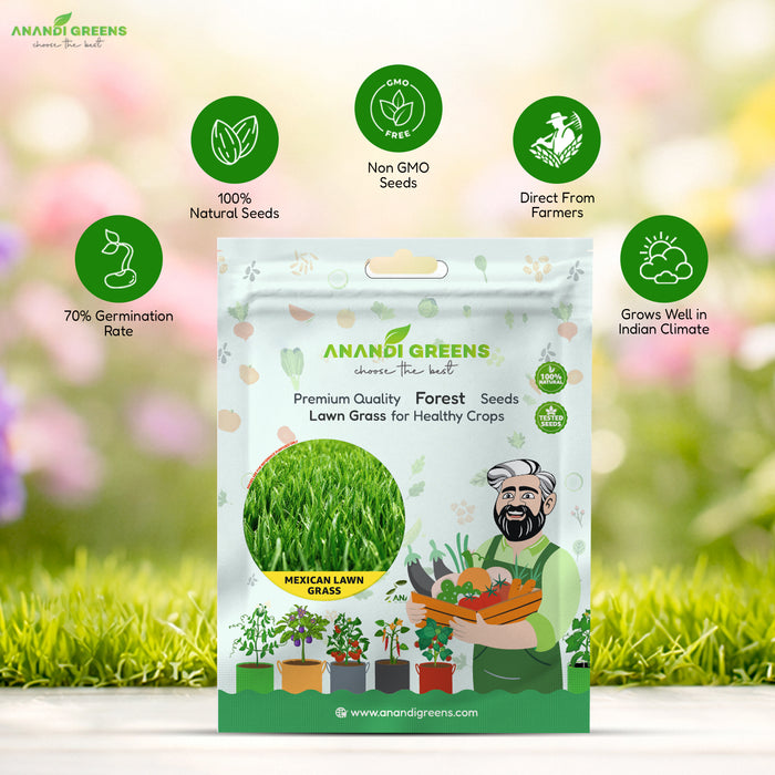 Mexican Lawn Grass Seeds (100 G)