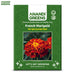 French-Marigold-KS-Spl-Scarlet-Red-Seeds