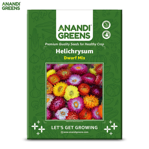Helichrysum-(Dwarf Mix)– Premium-Open-Pollinated-Seeds