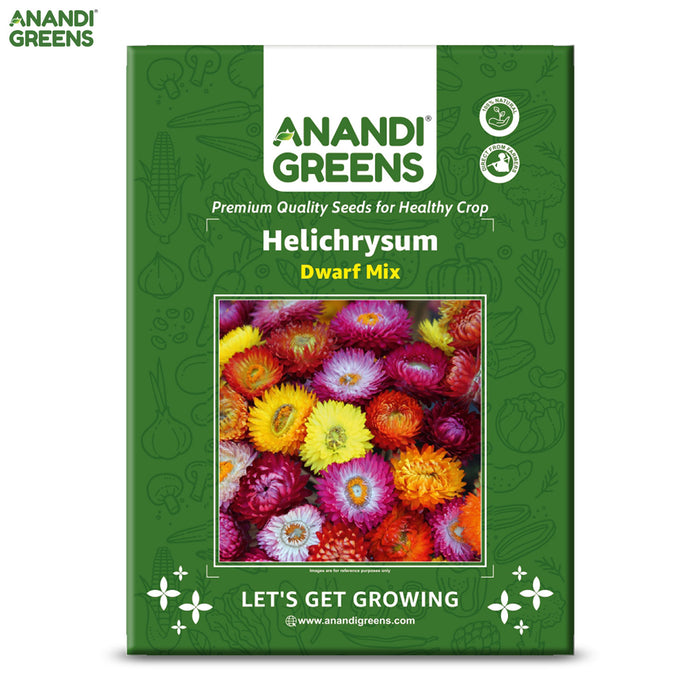 Helichrysum-(Dwarf Mix)– Premium-Open-Pollinated-Seeds